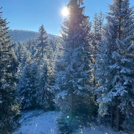 Lejlighed Atos Dijana *